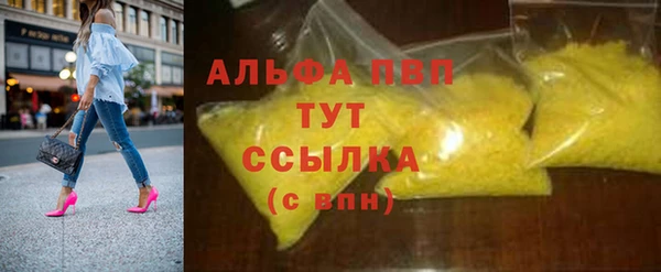 СК Вязьма