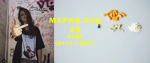 шишки Горнозаводск