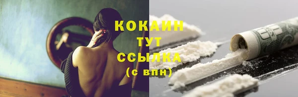 дживик Вязники