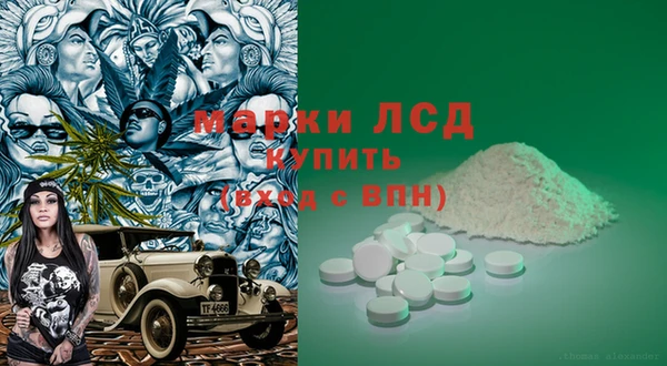 СК Вязьма