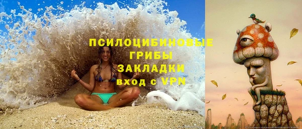 дживик Вязники