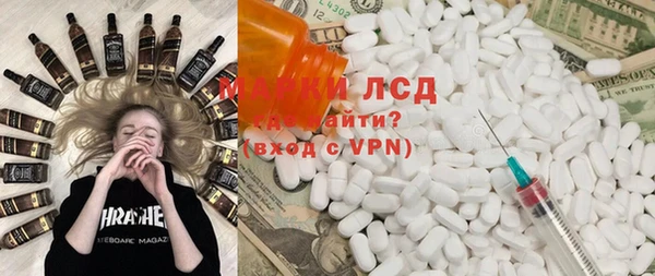 СК Вязьма