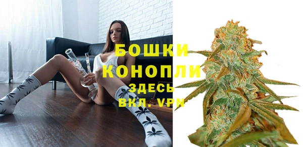 СК Вязьма