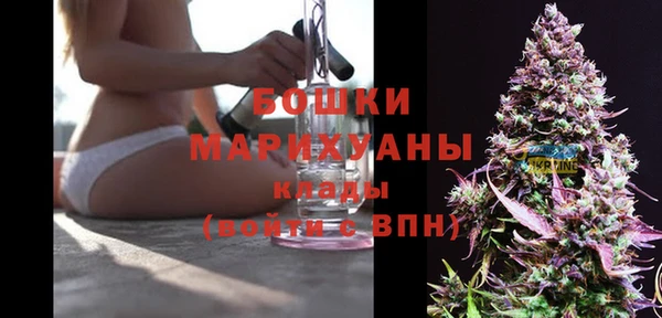 дживик Вязники