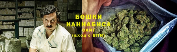 шишки Горнозаводск